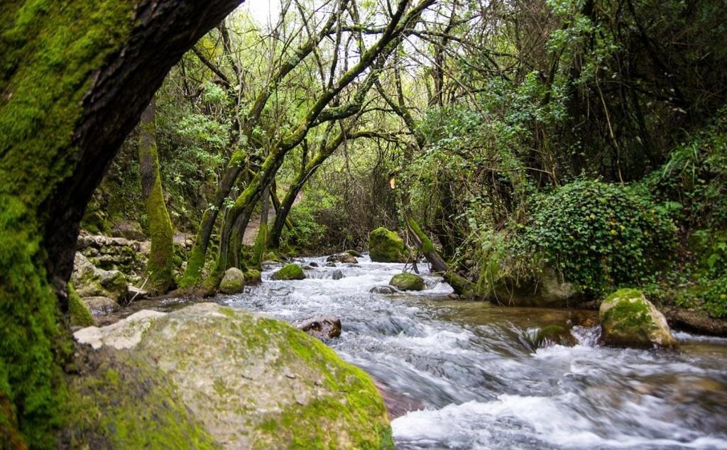 El Rincon De Las Higueras เอลบอสเก ภายนอก รูปภาพ